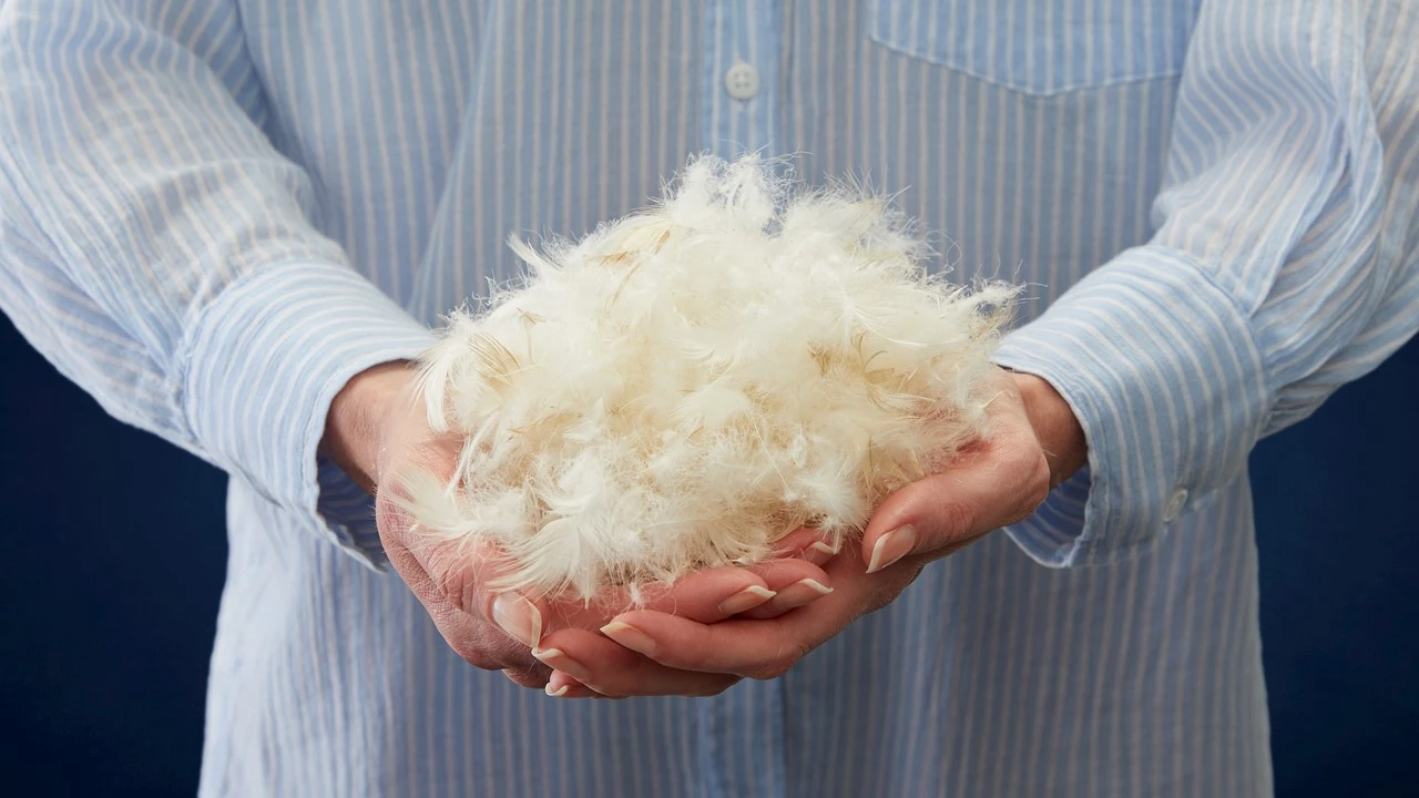 Dekbed Silvana Royale Medium 100% Dons Voor/najaar - Afbeelding 5