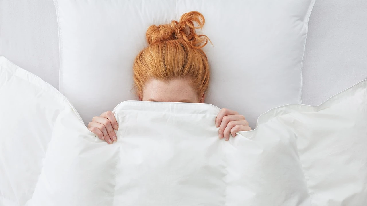 Dekbed Silvana Royale Medium 100% Dons Voor/najaar - Afbeelding 3