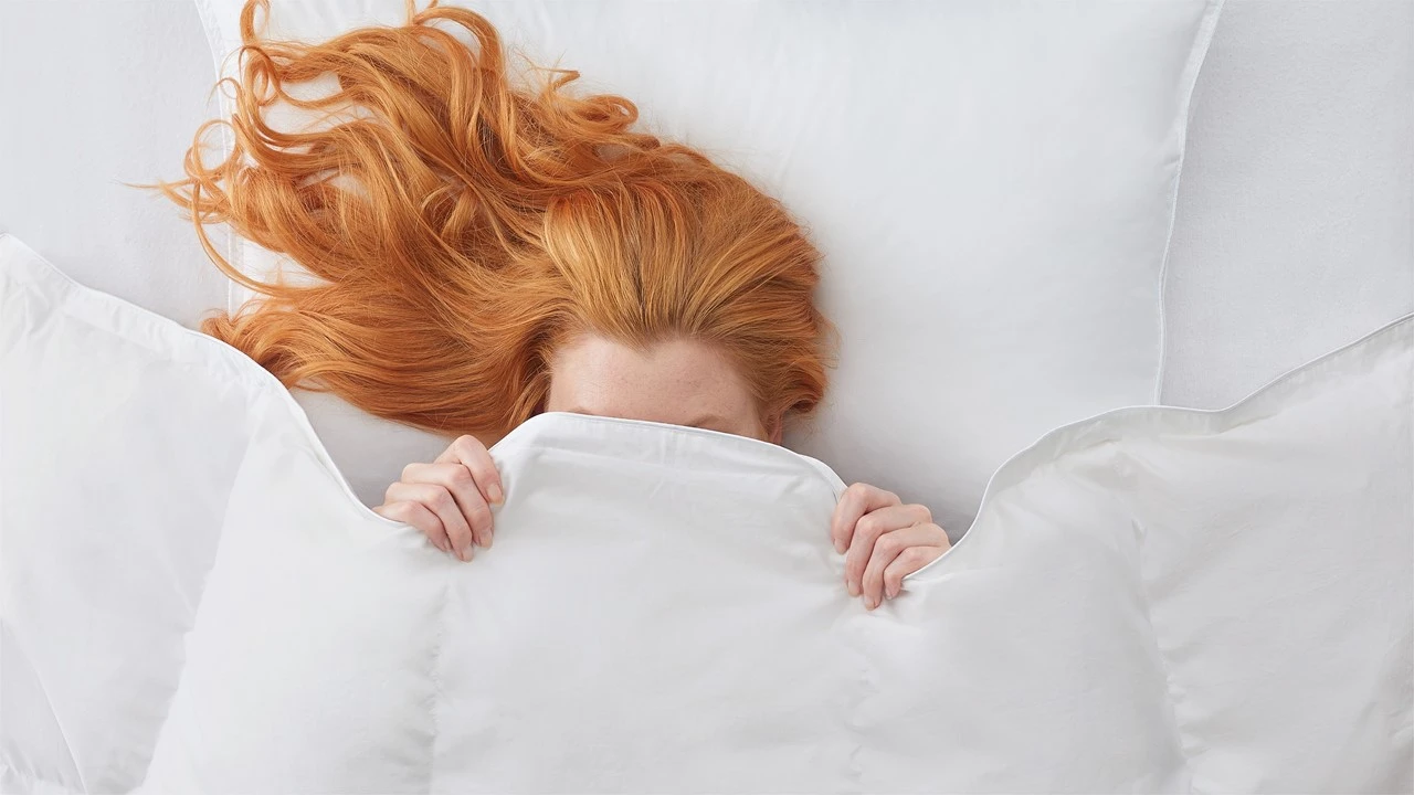 Dekbed Silvana Royale Medium Light 100% Dons Voor/najaar - Afbeelding 3