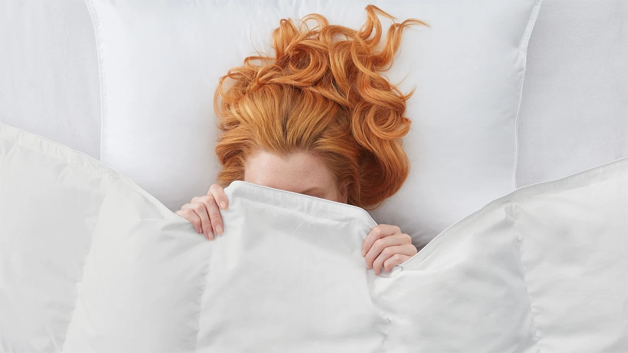 Dekbed Silvana Royale Warm 100% Dons Winter - Afbeelding 3