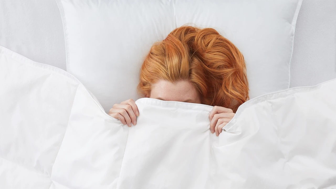 Dekbed Superieur 90% Dons Zomer - Afbeelding 3