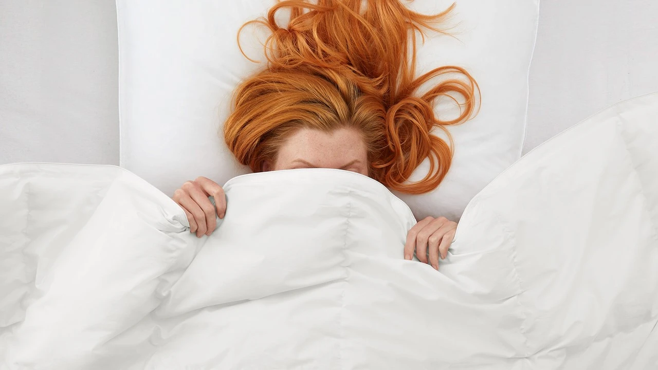 Dekbed Taurus 90% Dons 4-seizoenen - Afbeelding 3