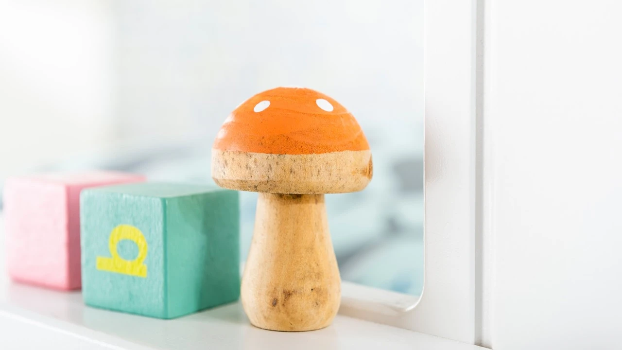 Sofabed Puck Met Dakframe En Heel Dak - Afbeelding 13